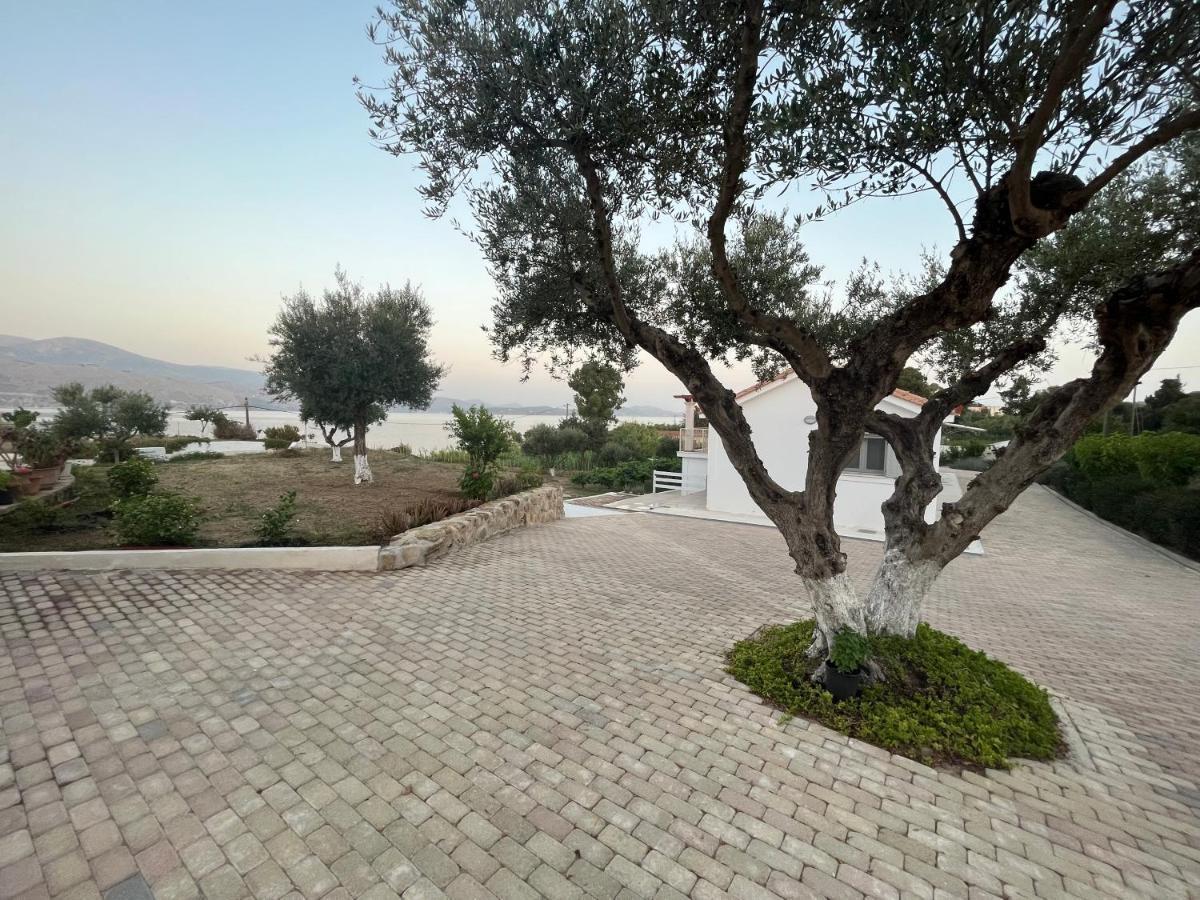 Apollonides Seafront Villa 2 Melete Lixouri Extérieur photo