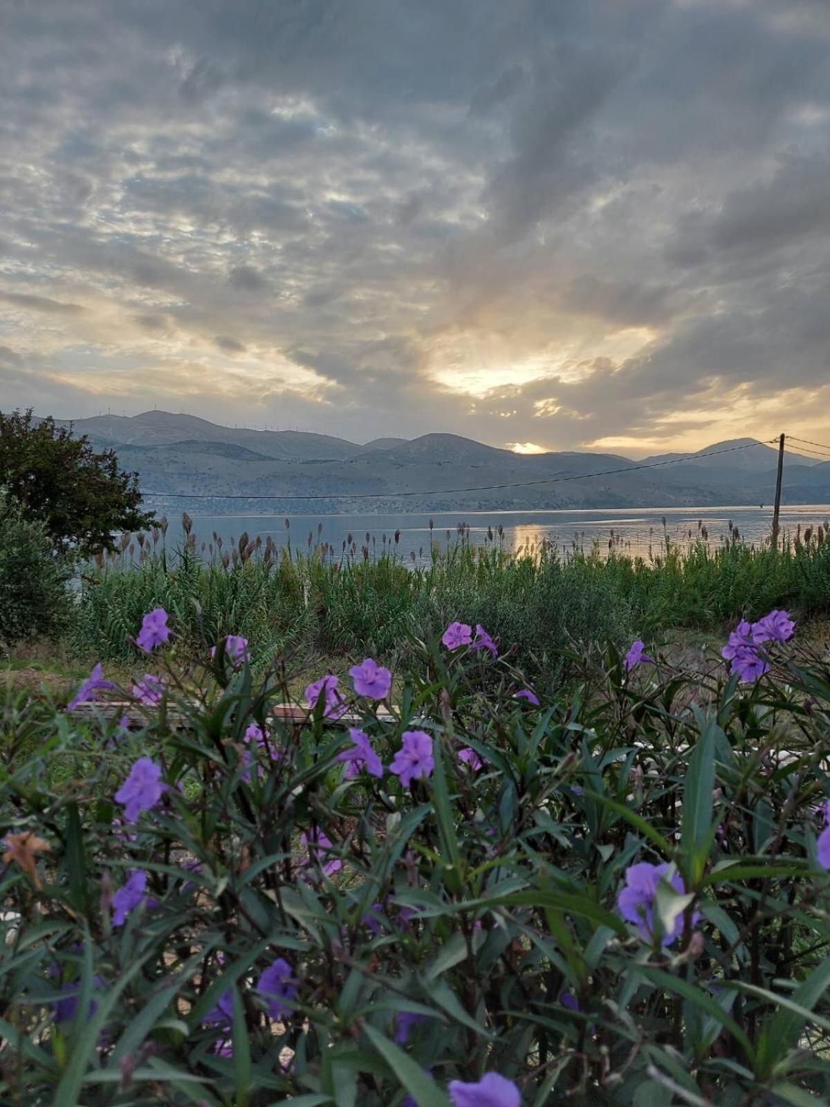 Apollonides Seafront Villa 2 Melete Lixouri Extérieur photo